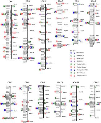 Simultaneous improvement and genetic dissection of drought and submergence tolerances in rice (Oryza sativa L.) by selective introgression